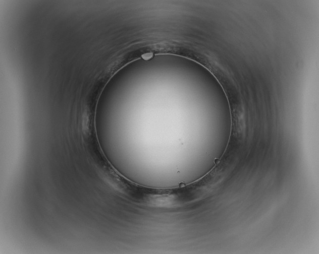 X0000112720266200908271414