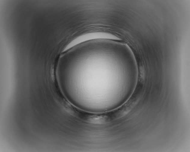 X0000112720267200908271414