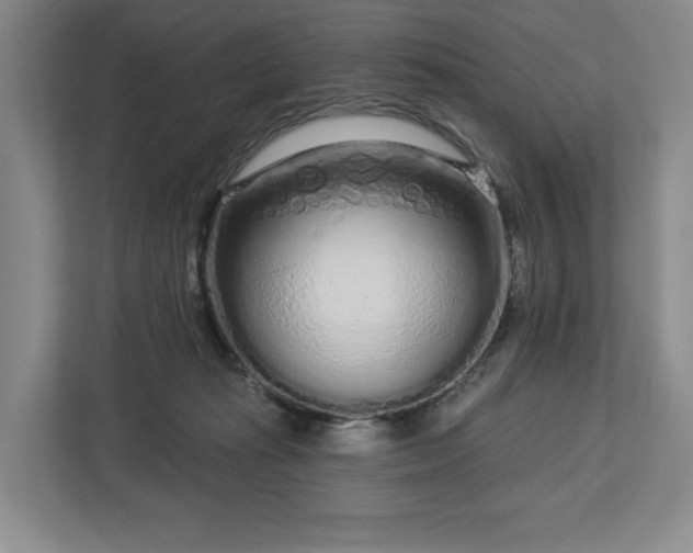 X0000112720269200908271414