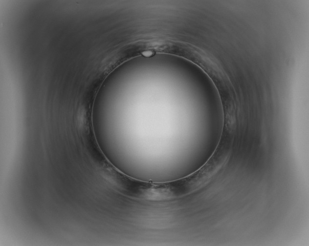 X0000112720270200908271414