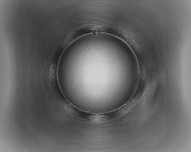 X0000112720273200908271414