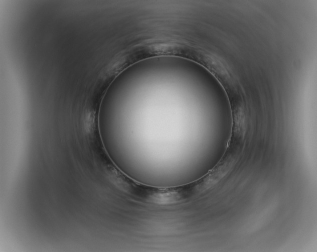 X0000112720278200908271414