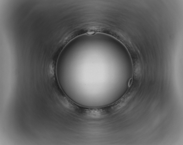 X0000112720282200908271414