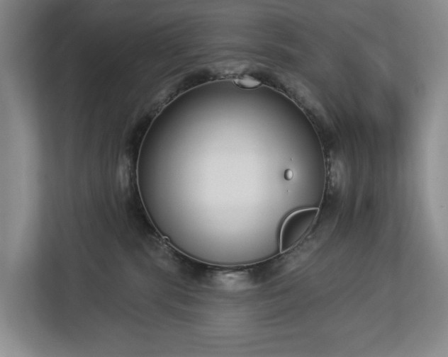 X0000112720283200908271414