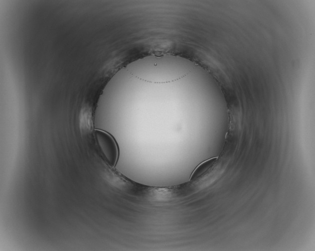 X0000112720287200908271414