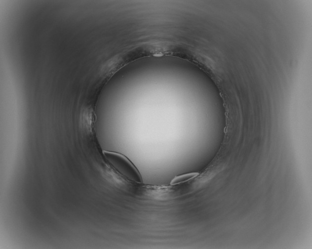 X0000112720288200908271414