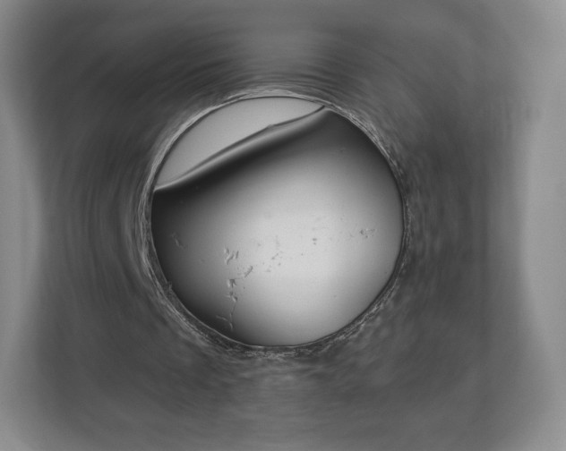 X0000112720289200908271414