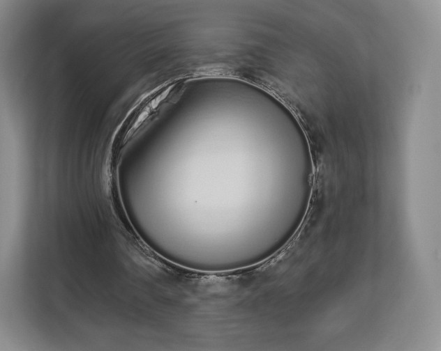 X0000112720290200908271414