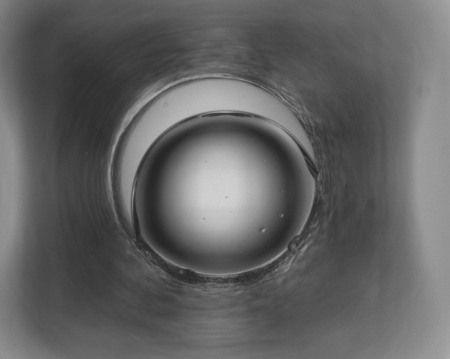 X0000112720292200908271414