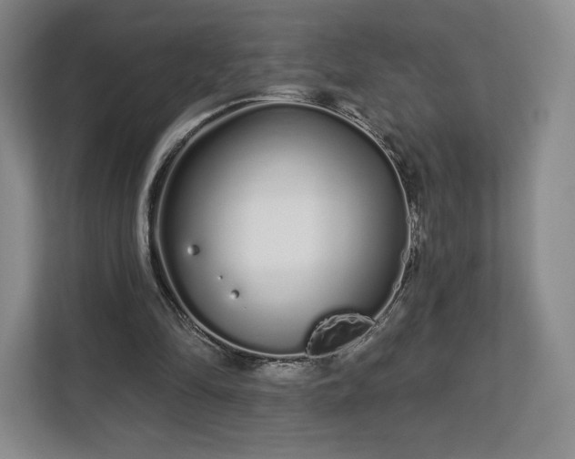 X0000112720294200908271414