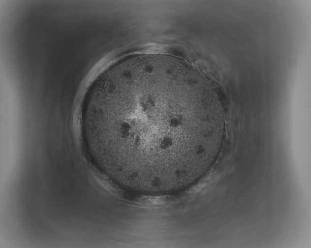 X0000112720295200908271414