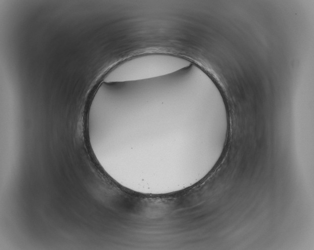 X0000112720297200908271413