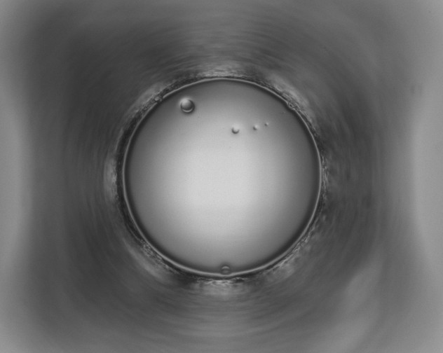 X0000112720298200908271413