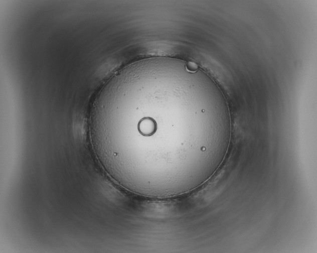 X0000112720305200908271413