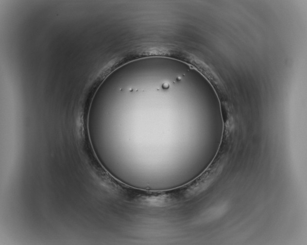 X0000112720306200908271413