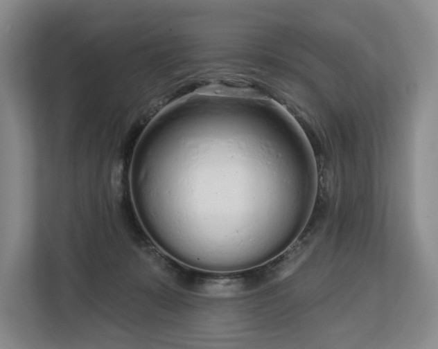 X0000112720319200908271413