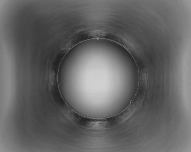 X0000112720323200908271413