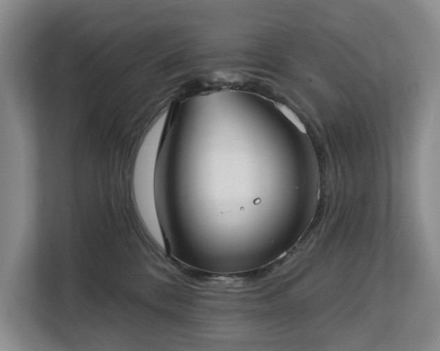 X0000112720328200908271413