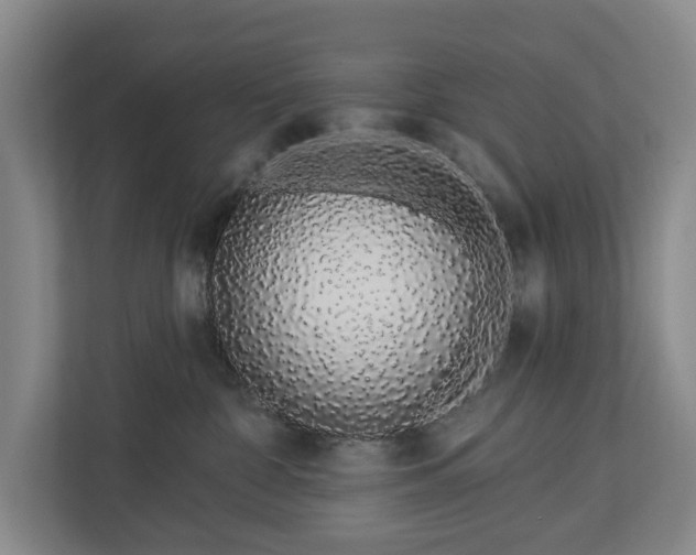 X0000112720332200908271413