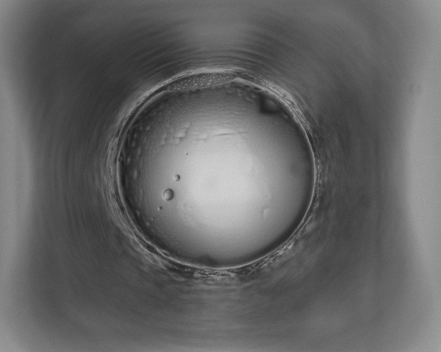 X0000112720337200908271412