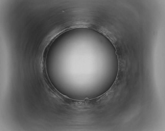 X0000112720338200908271412