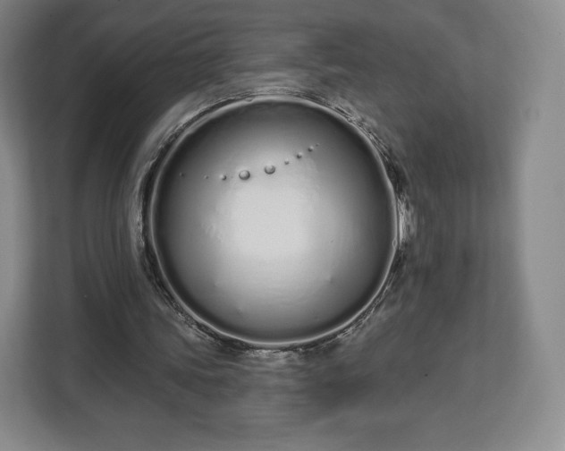 X0000112720339200908271412