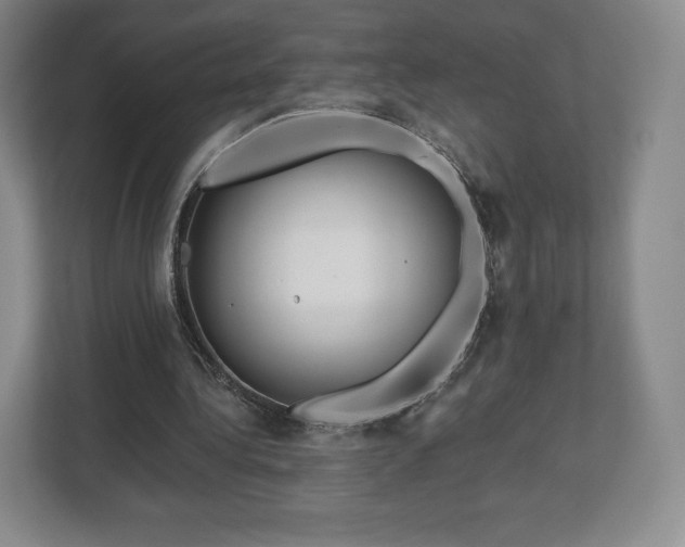 X0000112720340200908271412