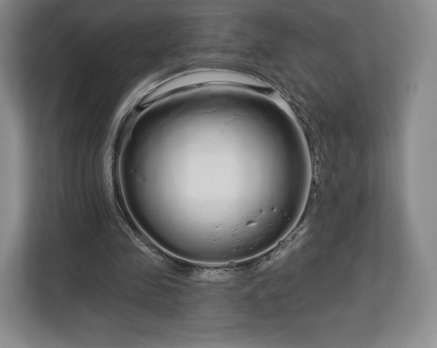 X0000112720341200908271412