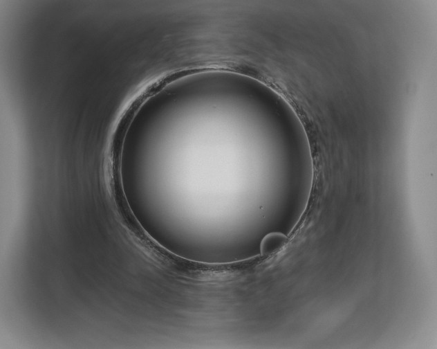 X0000112720342200908271412