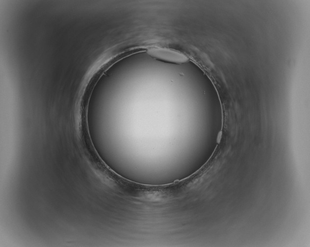 X0000112720344200908271412