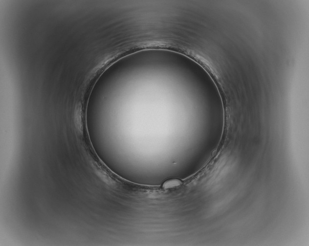 X0000112720345200908271412