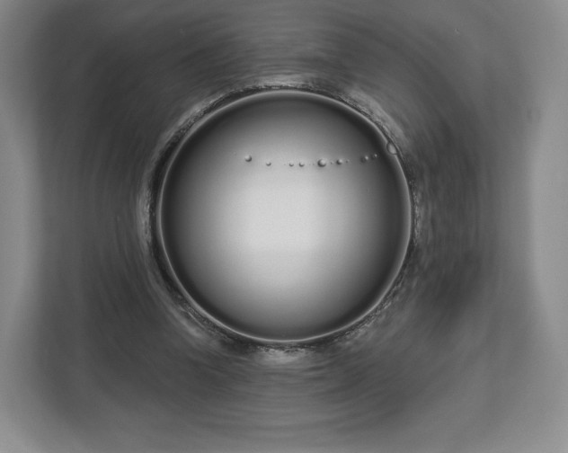 X0000112720346200908271412