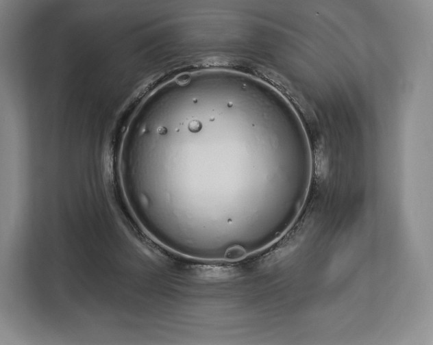 X0000112720347200908271412