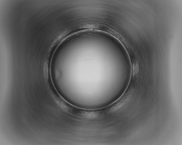 X0000112720349200908271413