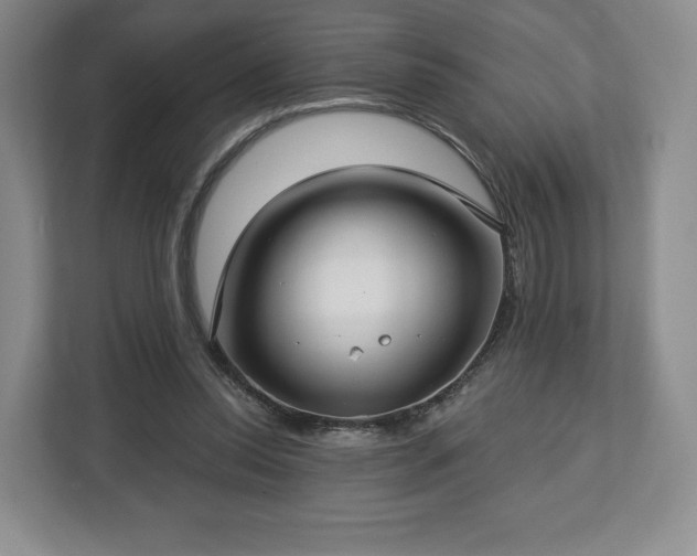 X0000112720350200908271413