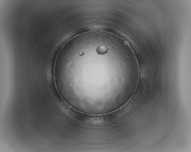 X0000112720353200908271413