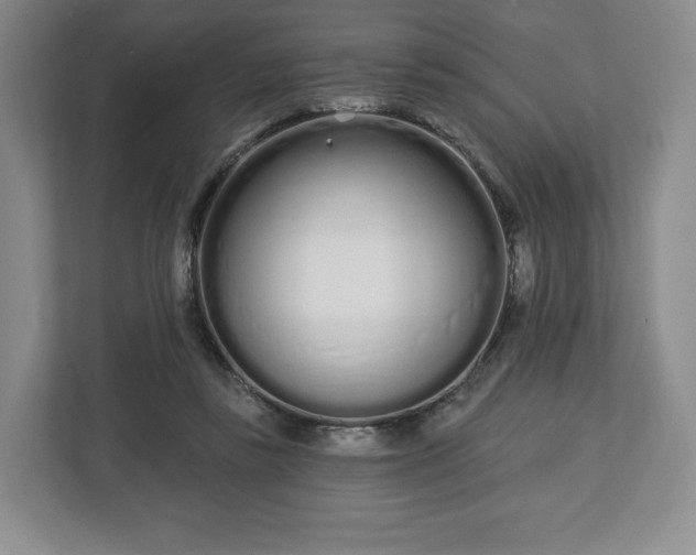 X0000112720355200908271413