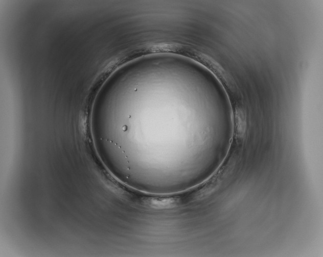 X0000112720357200908271413