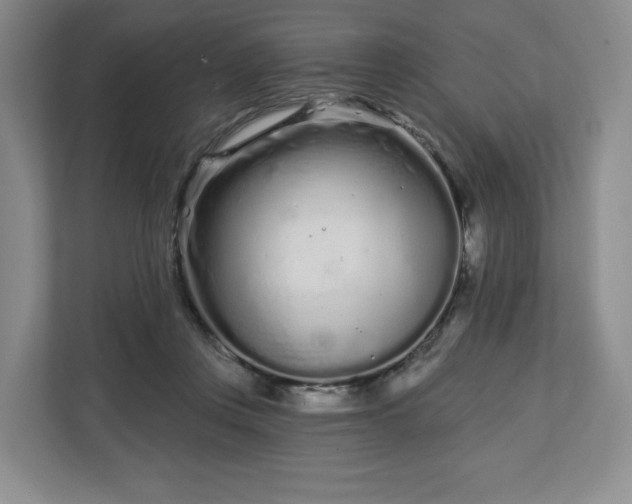 X0000112720359200908271413