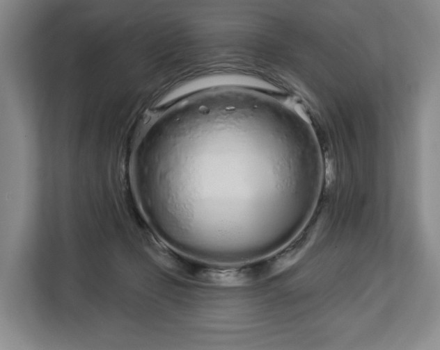 X0000112720365200908271413