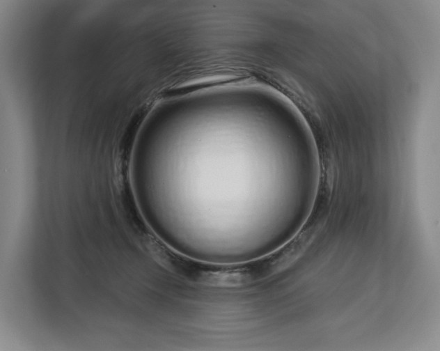 X0000112720366200908271413