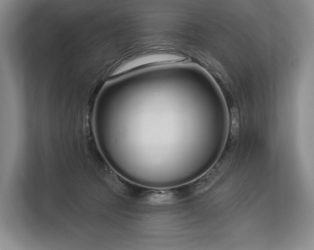 X0000112720369200908271413