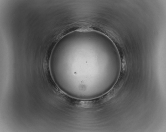 X0000112720371200908271413