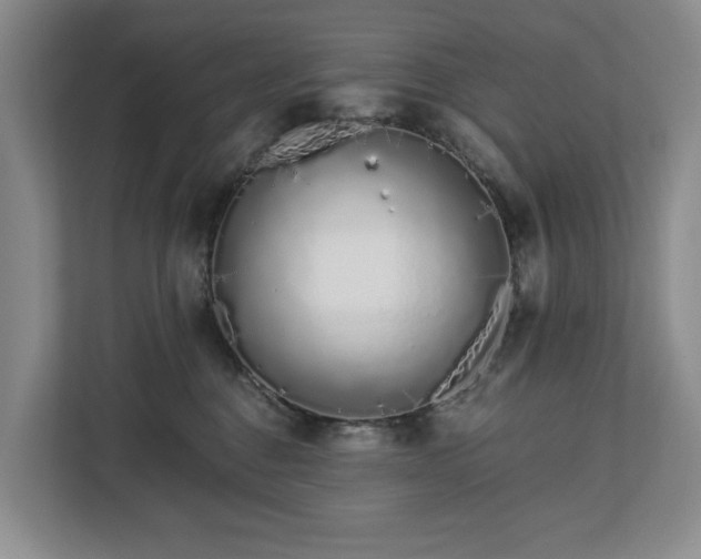 X0000112720376200908271413