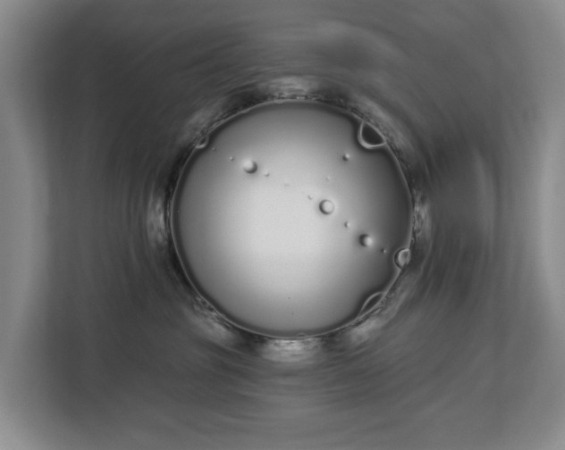 X0000112720381200908271413