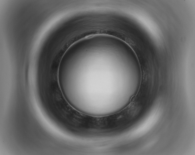 X0000112720383200908271413