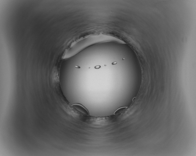 X0000112720384200908271413