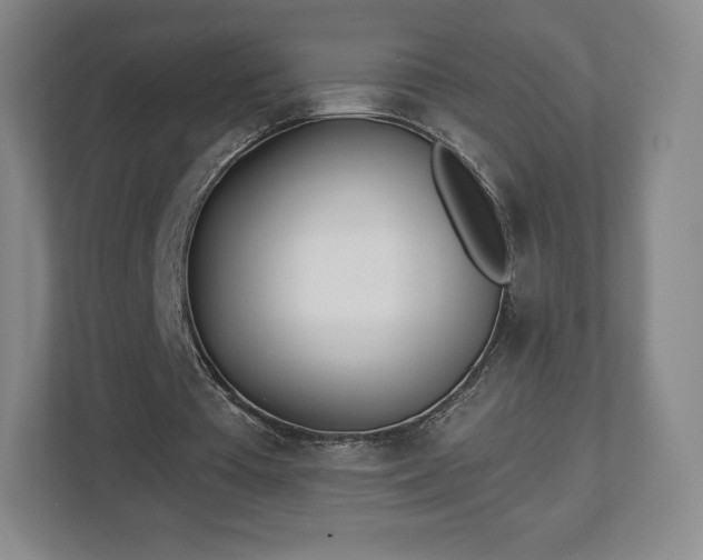 X0000112720385200908271412