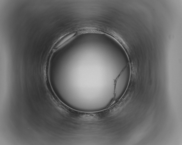 X0000112720386200908271412