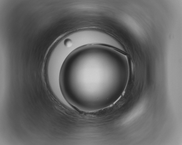 X0000112720387200908271412